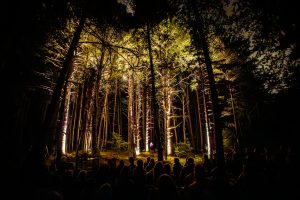 Photo Croire aux Fauves © Kalimba